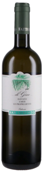 San Lorenzo &ndash; Verdicchio Di Gino 2022