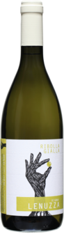 Vigna Lenuzza - Ribolla Gialla 2020